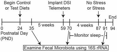 Dietary Prebiotics and Bioactive Milk Fractions Improve NREM Sleep, Enhance REM Sleep Rebound and Attenuate the Stress-Induced Decrease in Diurnal Temperature and Gut Microbial Alpha Diversity